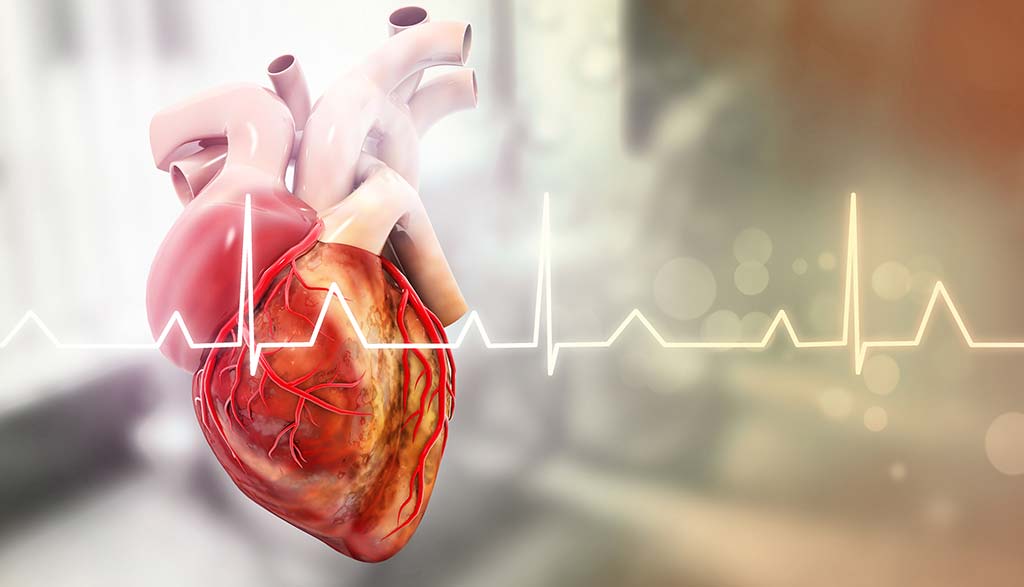 Anatomie du cœur humain sur un fond médical flou. Illustration 3D.