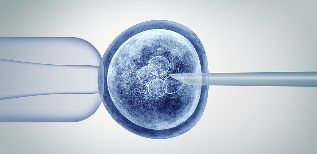 Manipulation d'embryon basée sur la technologie CRISPR