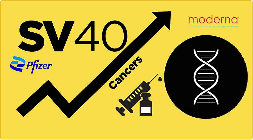Contamination des vaccins anti-COVID par de l'ADN et des séquences de SV40 oncogène