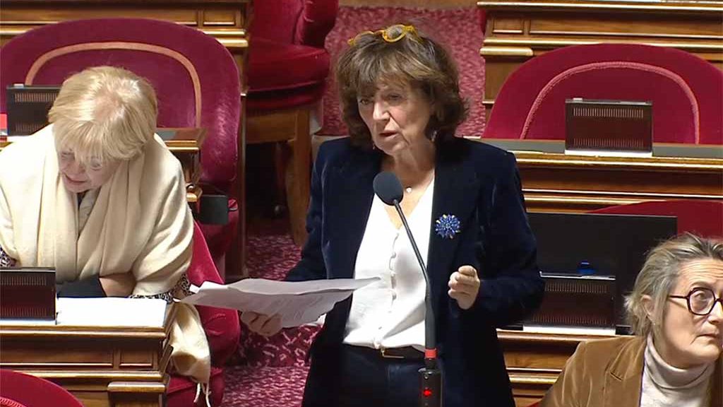 Laurence Muller-Bronn, Sénat, 23 novembre 2025