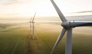 Champ d'éoliennes