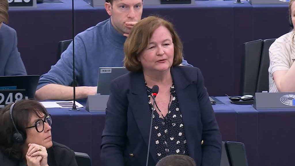Nathalie Loiseau, Parlement européen
