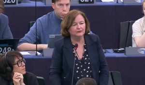 Nathalie Loiseau, Parlement européen