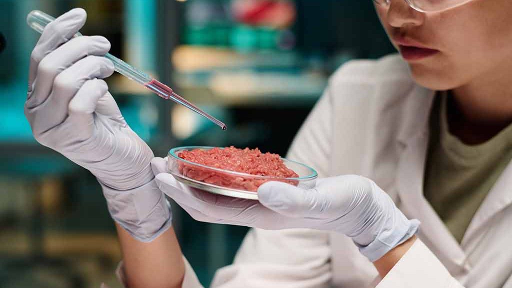 Viande synthétique manipulée en laboratoire