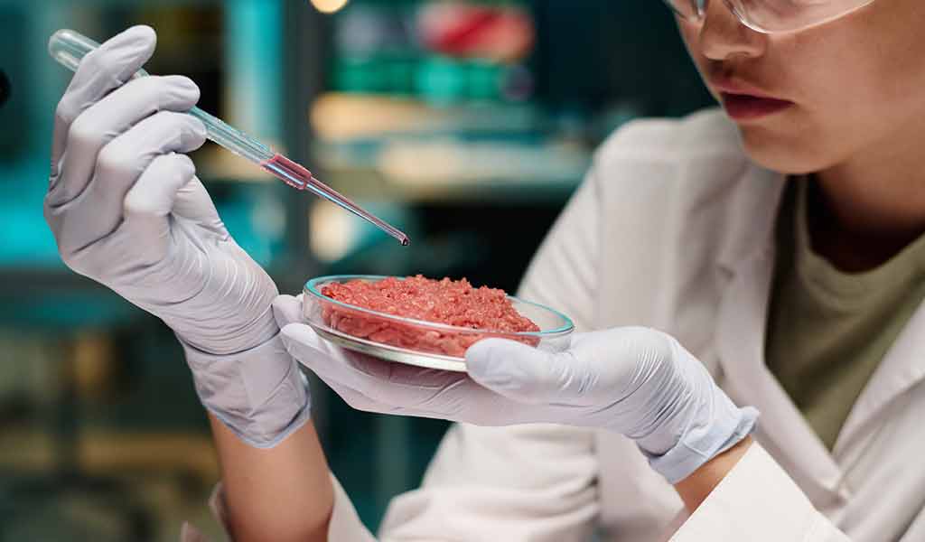 Viande synthétique manipulée en laboratoire