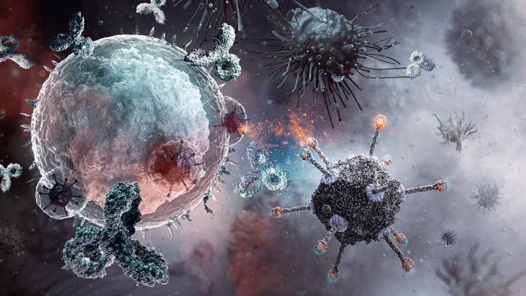 Cellules immunitaires, anticorps et particules virales.