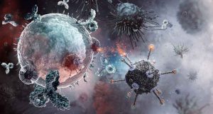 Cellules immunitaires, anticorps et particules virales.