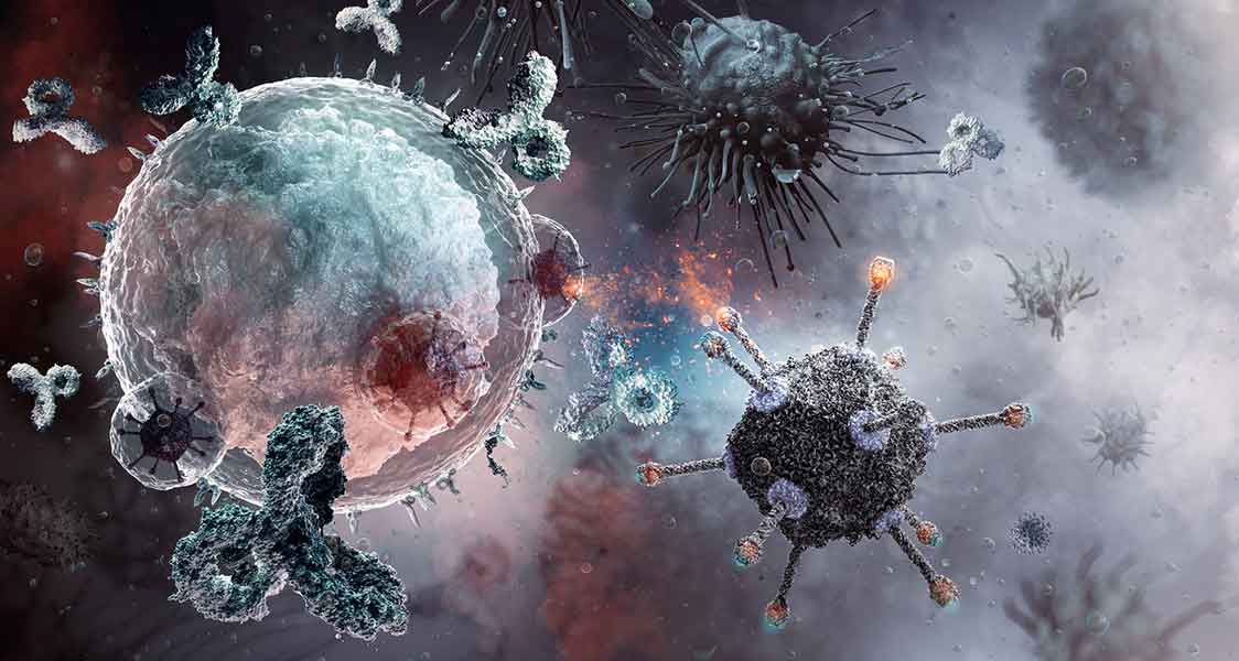 Cellules immunitaires, anticorps et particules virales.